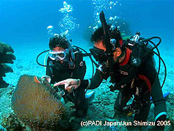 �����񍐎ʐ^