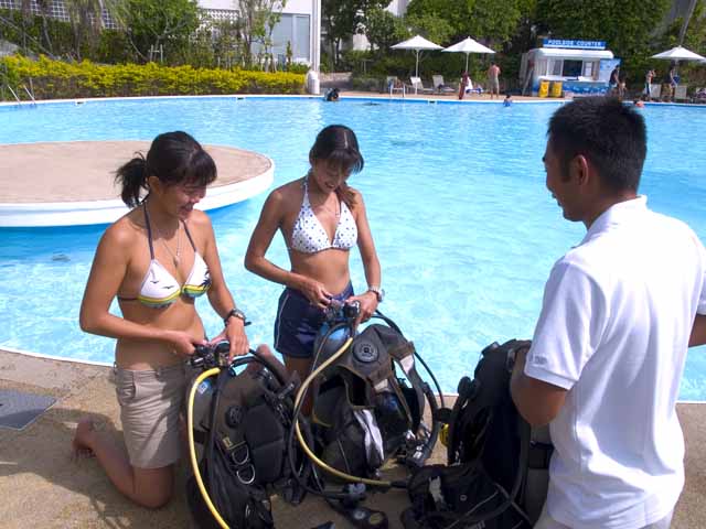 �����񍐎ʐ^